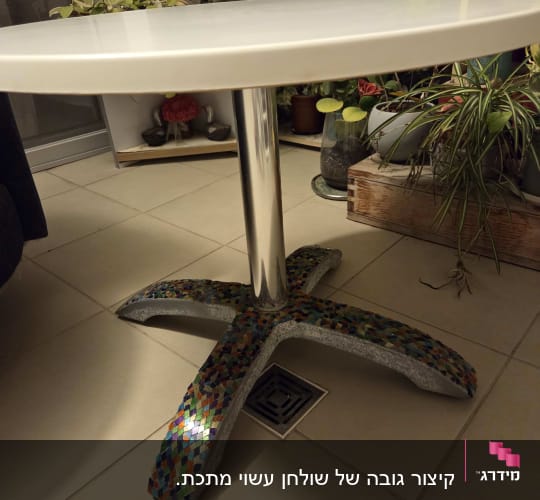 מסגריות